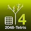 S4-2048 Tetris